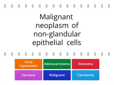Neoplasia terminology -match the term with the definition