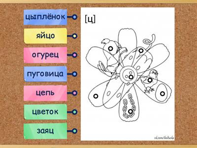 Звук Ц в словах. Наложенные картинки 2