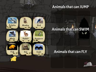 Animals and what they can do