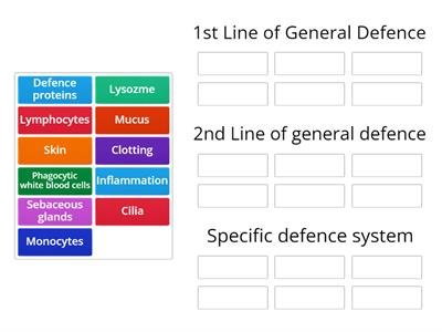 Human defence system