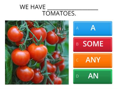 FOOD - COUNT & NON COUNT NOUNS - E3