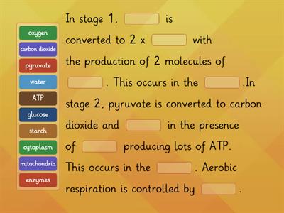 Process of aerobic respiration