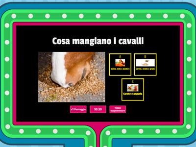 Equitazione 