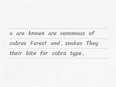 Forest Cobras
