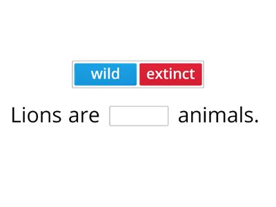 Wild Animals 