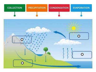 Water cycle processes