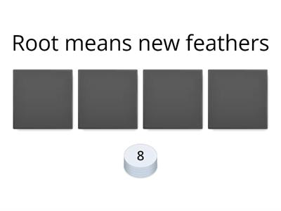 Roots & Affixes: Find the Word Relative