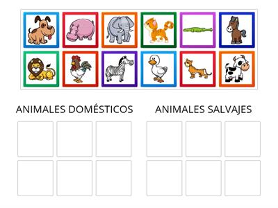 Animales domésticos y salvajes