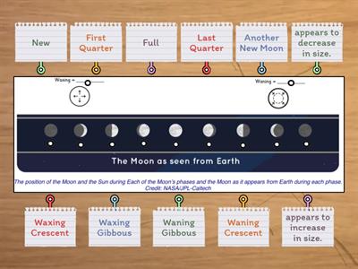 CUSP Phases of the Moon