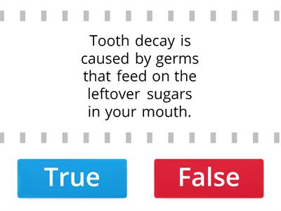 Health p.2 : our teeth (true or false)