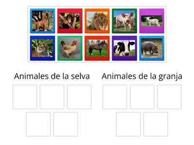 Los animales