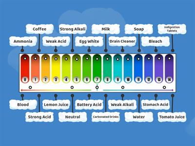 pH Scale With Examples