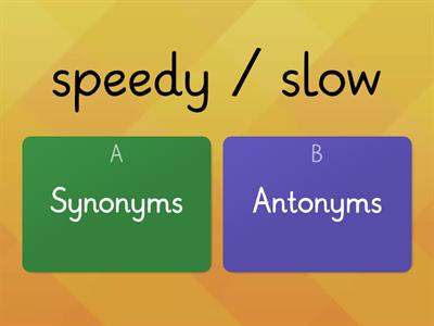 Synonym/Antonym Identification