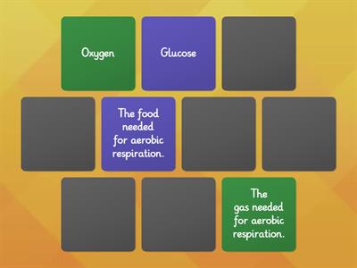 Aerobic Respiration