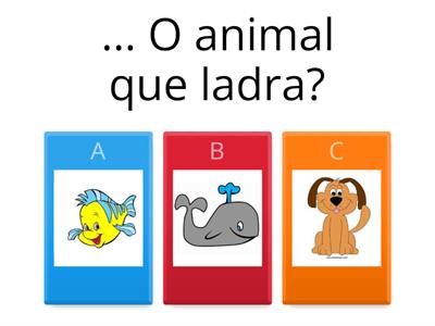 Qual é?