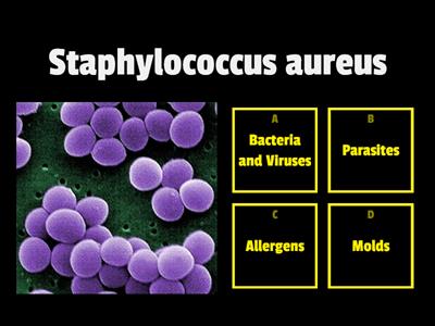 Causes of Food Poisoning