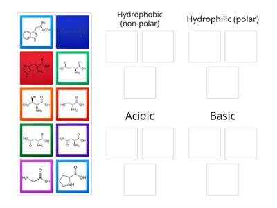 Amino acid classification