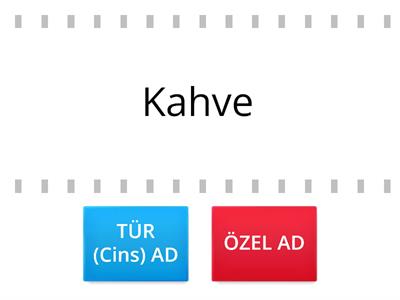 2.Sınıf Türkçe Tür (Cins) Ad- Özel Ad