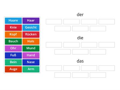 Mein Körper. Körperteile. Artikel. DaF Alpha 3, DaF A1