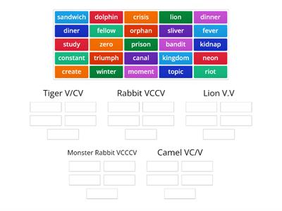 rabbit, panther, tiger, camel, turtle, lion