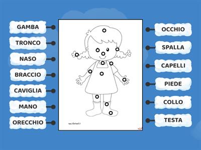 Schema corporeo