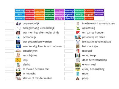 2t/havo H4 woordenschat