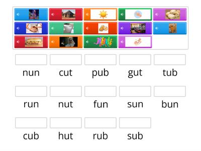 Phonics Practice: ub/un/ut