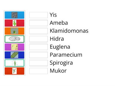 organisma unisel dan multisel