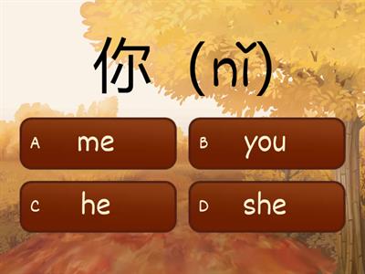  你好 chinese pronouns 代词