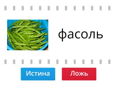 Правда или Ложь?