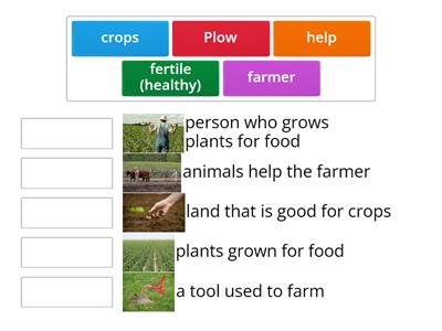 farm words