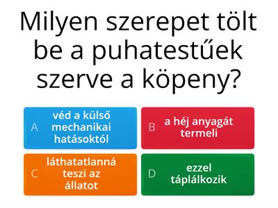 Gerinctelenek kvíz RB