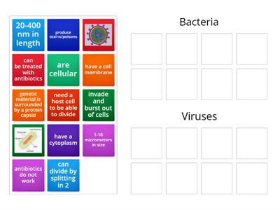 Comparing Bacteria & Viruses