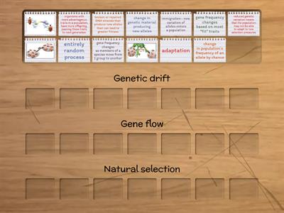 Mechanisms of Evolution