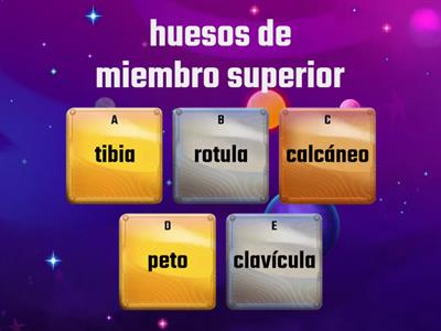 Prueba 1 Miembro Superior