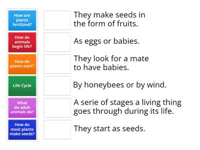 Life Cycle content