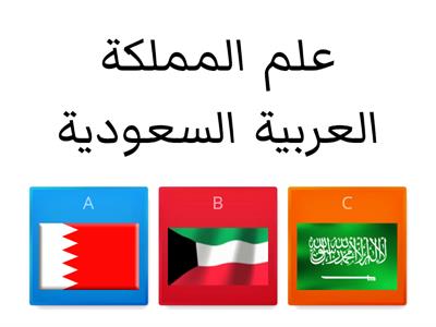 اليوم الوطني السعودي ٩١ - الروضة ٨٣