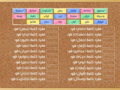  المفرد والجمع / تنظيم الوقت C