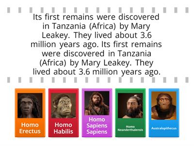 Human evolution - Hominids