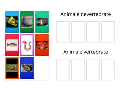 Animale vertebrate și nevertebrate