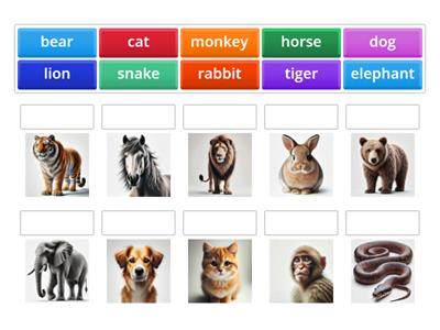 Animals (grammar-monster vocabulary)