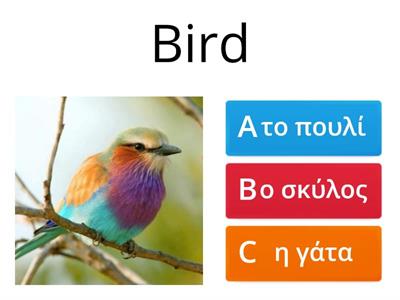 How do we say this animal in greek?