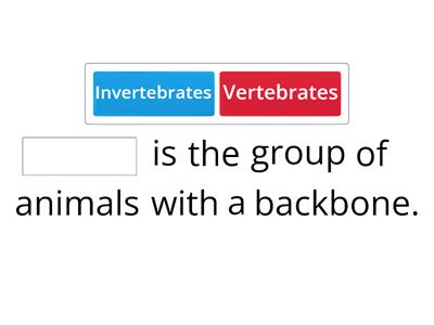  Vertebrates and invertebrates
