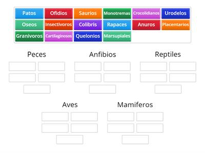 Peces Anfibios Reptiles Aves Mamiferos 