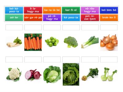 Zöldségek  1. szó-kép egyztetés, szókincsfejlesztés, olvasástechnika