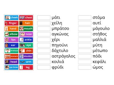 Body parts in Greek