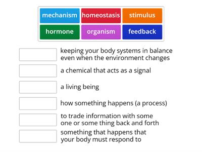 Homeostasis Vocab Boxes