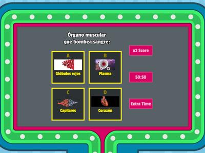 Sistema Circulatorio 2