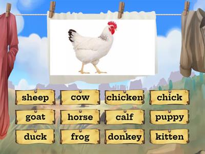 Farm animals