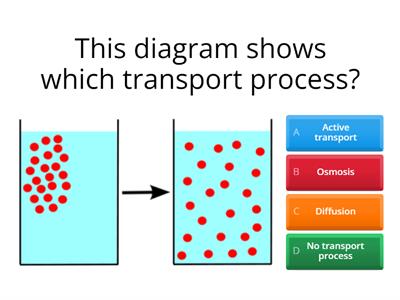 N5 Biology Diffusion Osmosis and Active transport